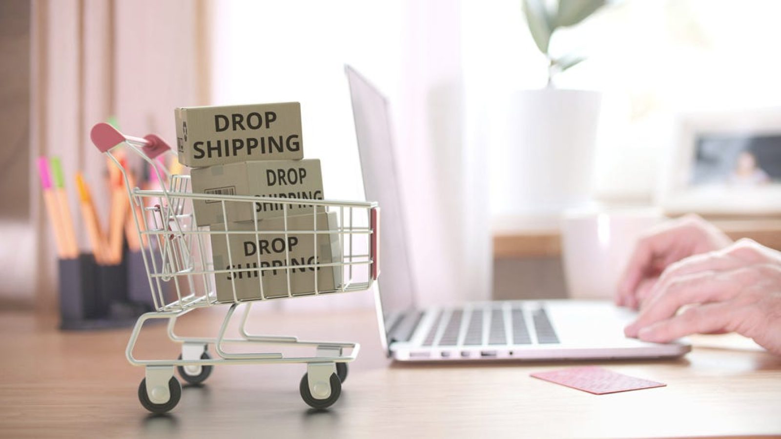 Dropshipping vs. Traditional E-Commerce: What’s More Profitable?